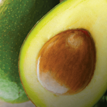 Imagen de Ingrediente cerrado Aguacate para Mobile