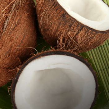 Imagen de Ingrediente cerrado Coco para Mobile